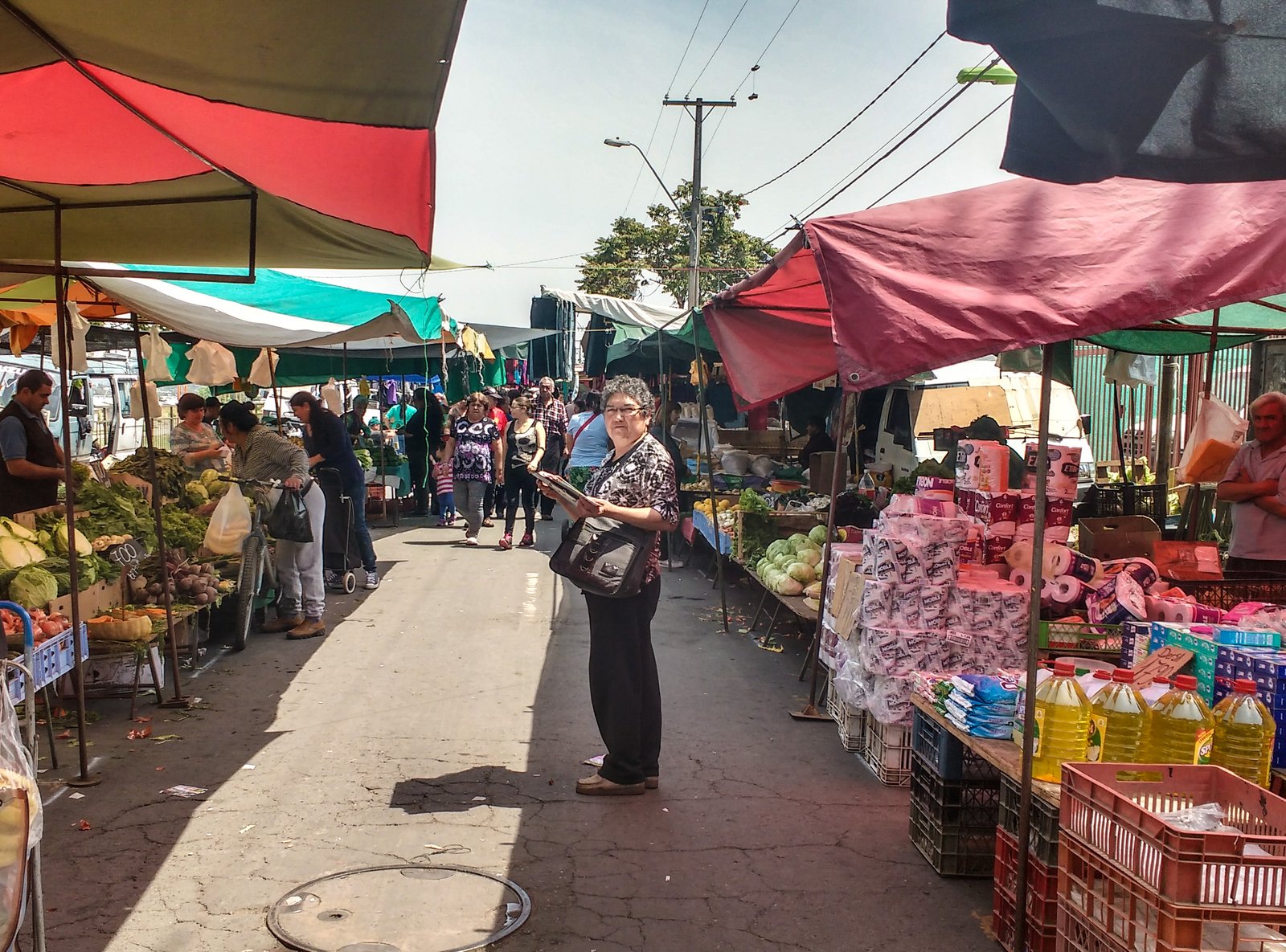 El Gran Vitoko: LISTADO DE LAS PRINCIPALES FERIAS LIBRES DEL GRAN ...